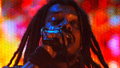 Diego Redel, Di�rio Catarinense